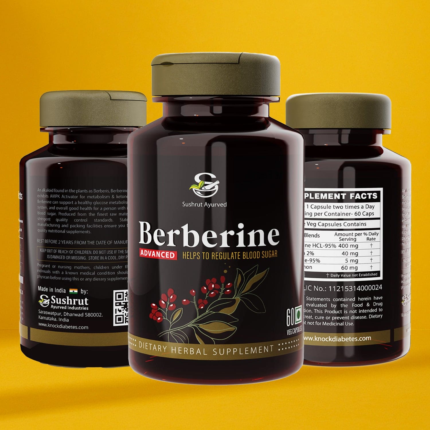 Berberine Advanced Pack of 1 - 60 Veg Capsule 500mg