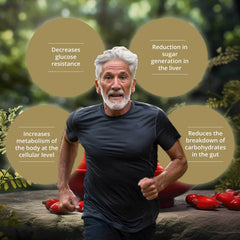 Best Berberine Supplement