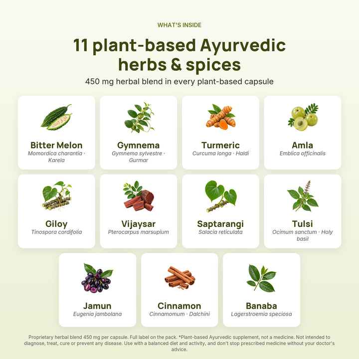 Sugar Knocker ingredients: 11 plant-based Ayurvedic herbs and spices including bitter melon, gymnema, turmeric and jamun