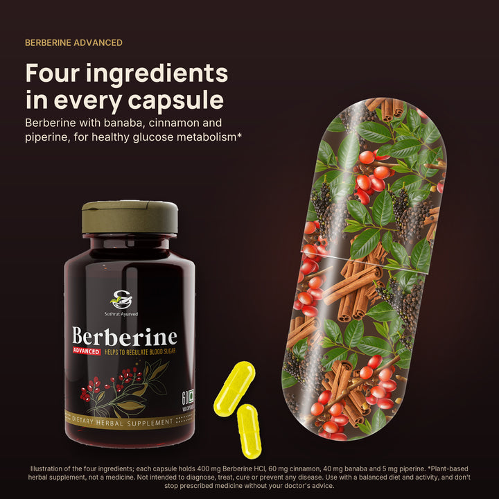Illustration of a Berberine Advanced capsule filled with its four ingredients, beside the bottle
