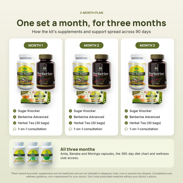 The Complete Metabolic Care Kit three-month plan, month by month
