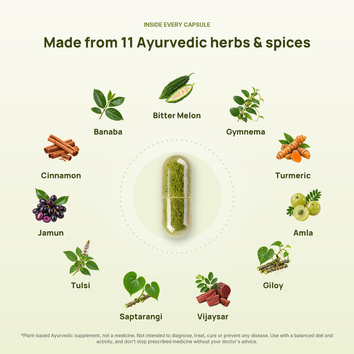 The 11 Ayurvedic herbs and spices in Sugar Knocker arranged around a capsule