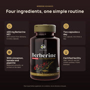 Berberine Advanced at a glance: 400 mg Berberine HCl with cinnamon, banaba and piperine, two capsules a day