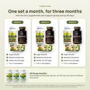 The Complete Metabolic Care Kit three-month plan, month by month