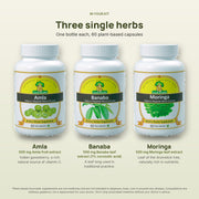 Amla, Banaba and Moringa single-herb capsules included in the Complete Metabolic Care Kit