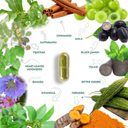 Wheel of the 11 herbal ingredients in Sugar Knocker capsules